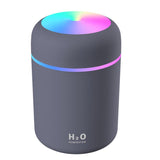 Portable USB Car Air Purifying Humidifier